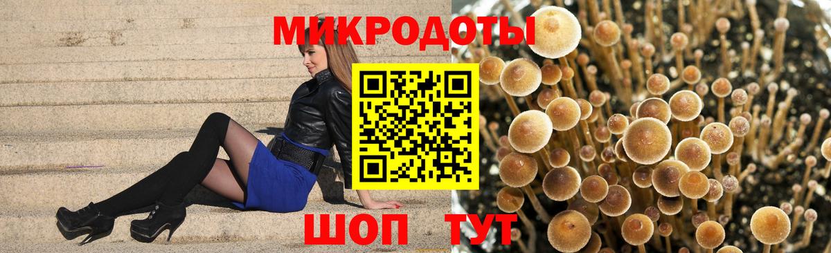 Галлюциногенные грибы прущие грибы  Вход с VPN  Галлюциногенные грибы мицелий  Южноуральск 