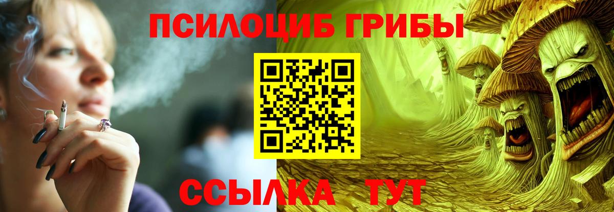 Галлюциногенные грибы Psilocybine cubensis Южноуральск