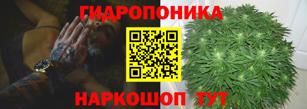 Бошки Шишки планчик Южноуральск